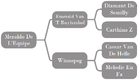 Meraldo De L'Equipe's breeding