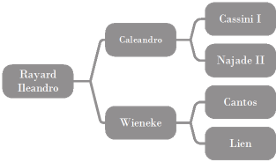 Ileandro's breeding